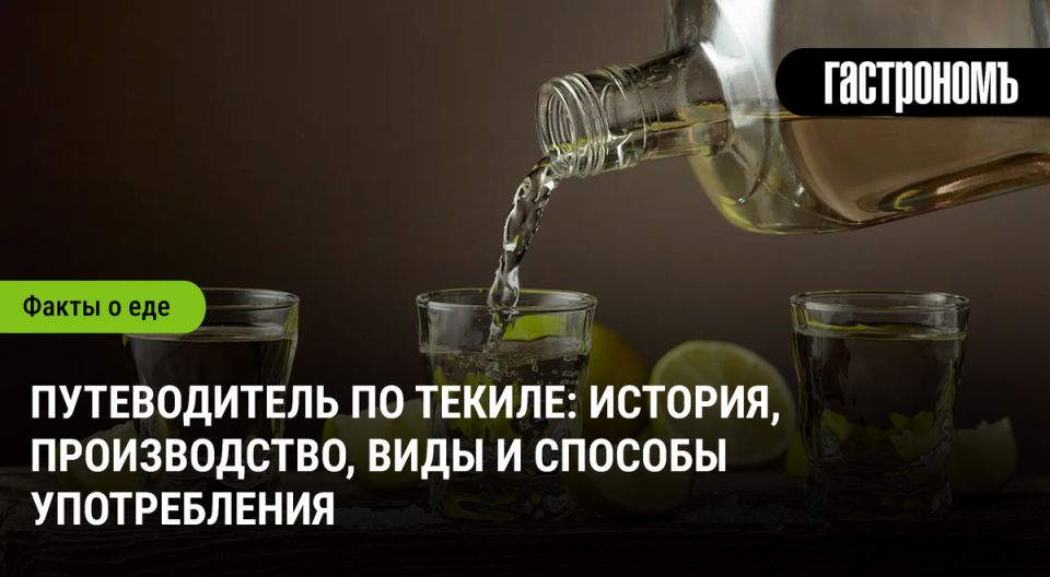 Загадочный мир текилы: от корней до бокала