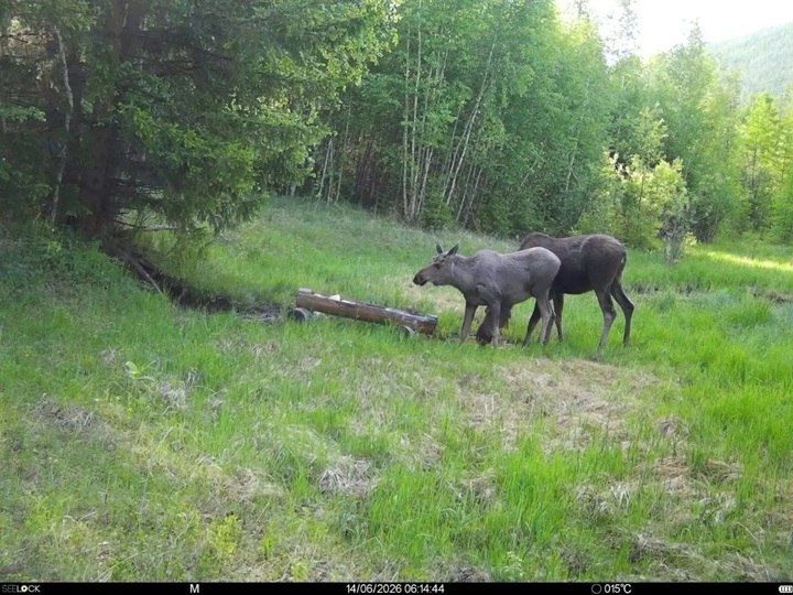 Вас снимает скрытая камера Вас снимает скрытая камера