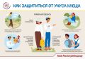 Мы уже рассказали про клещи