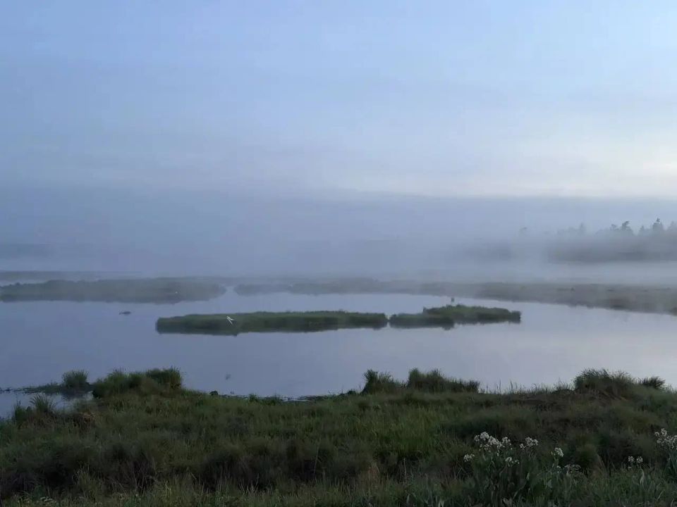 Летние туманы. @tompovestnik Летние туманы. @tompovestnik