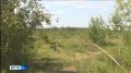 Авиалесоохрана Якутии сообщает, что в Ленском районе ликвидированы все лесные пожары