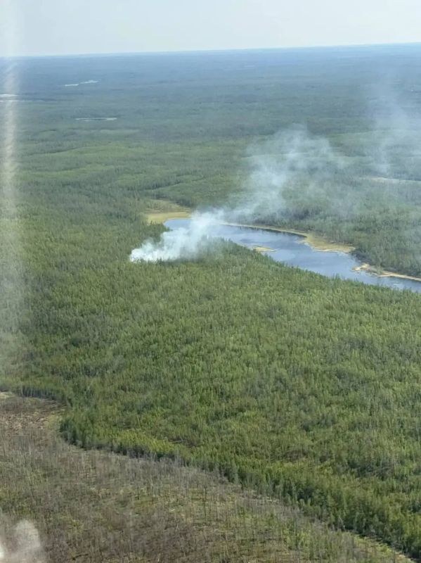 В Якутии локализованы четыре лесных пожара
