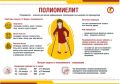 Полиомиелит – острое инфекционное заболевание вирусной природы, которое может проявляться в различных формах: от бессимптомной до паралитической
