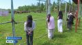 В бизонарии Усть-Буотама пополнение