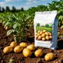 Удобрения для картофеля: мифы и реальность