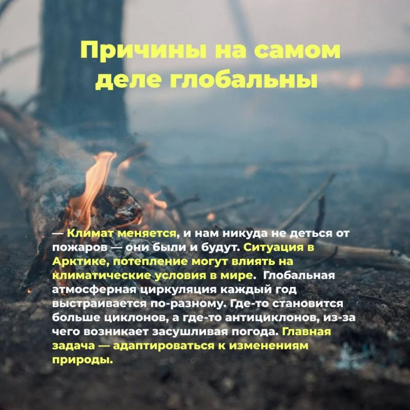 Прошлогоднее лето было в Якутии прохладным и дождливым Прошлогоднее лето было в Якутии прохладным и дождливым