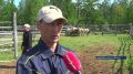 Безопасность превыше всего: в Вилюйском улусе завершился карантин для лошадей