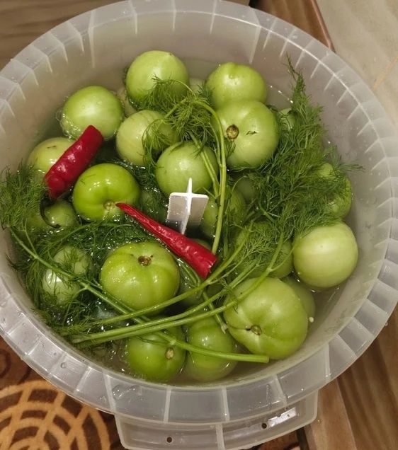 Зеленые помидоры на закуску: как заквасить вкусное угощение
