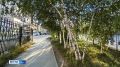 ������� ������ � ������� �� 25 ����