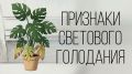 ��� ���������� �������� ��������� � ��������