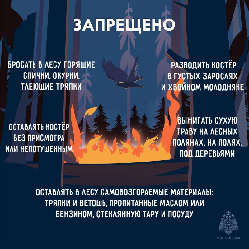 В Якутии повышается пожарная опасность леса В Якутии повышается пожарная опасность леса