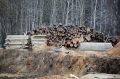 Суд взыскал с лесоперерабатывающей компании 1,4 млн рублей в Ленском районе