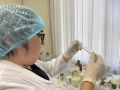 Подготовка будущих специалистов: учебная практика в Ветеринарной лаборатории Горного улуса