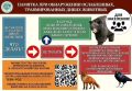 Минэкологии Якутии проверяет сообщение о раненой косуле на Табагинском мысе