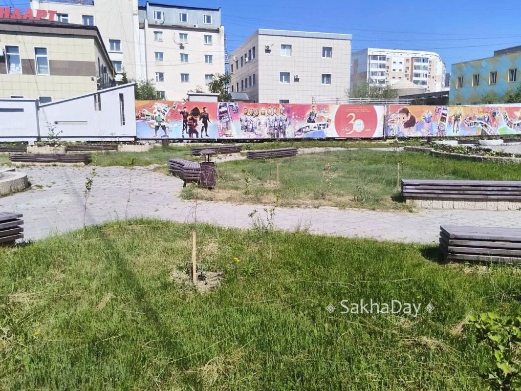 #пишут Сквер у цирка. Свежие посадки кустов засыхают хотя цветы в клумбах политы #пишут Сквер у цирка. Свежие посадки кустов засыхают хотя цветы в клумбах политы