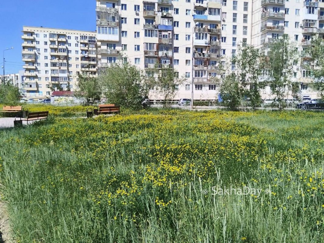 #пишут Красоты вам в лентусквер сам себя украсил