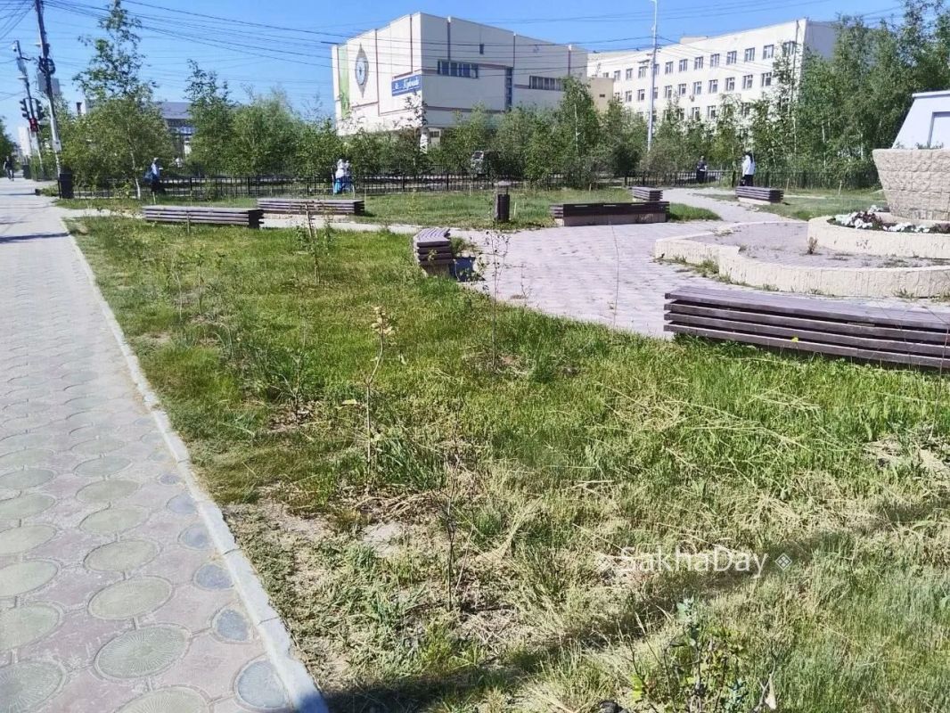 #пишут Сквер у цирка. Свежие посадки кустов засыхают хотя цветы в клумбах политы #пишут Сквер у цирка. Свежие посадки кустов засыхают хотя цветы в клумбах политы