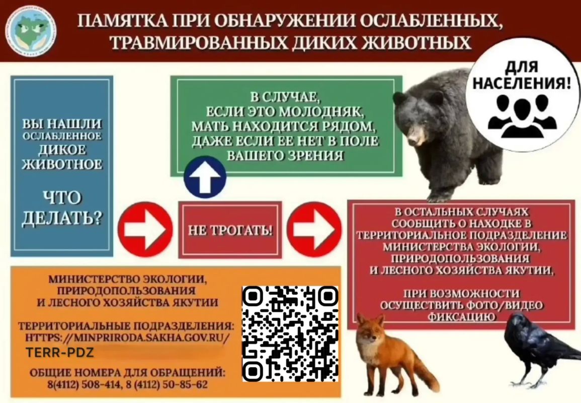 Минэкологии Якутии проверяет сообщение о раненой косуле на Табагинском мысе