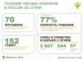 За прошедшие сутки в 20 регионах России потушили 70 лесных пожаров