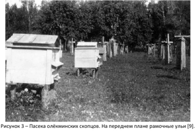 Колонка архивиста: Пчеловодство Якутии в конце XIX века Колонка архивиста: Пчеловодство Якутии в конце XIX века