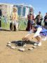 «Алгыс на Священном озере Сайсары: делегации символически скрепили будущий „Союз Священных озёр