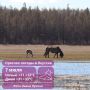 В Якутске во вторник ожидается жара до 33°С