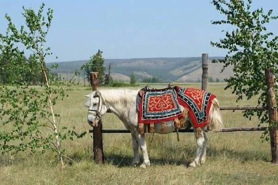 С огромной гордостью сообщаю, что Якутия получила почётное приглашение представить наше северное коневодство и уникальные ремёсла на Всемирном дне лошади, который впервые в истории пройдёт в Монголии — «Стране вечного синего... С огромной гордостью сообщаю, что Якутия получила почётное приглашение представить наше северное коневодство и уникальные ремёсла на Всемирном дне лошади, который впервые в истории пройдёт в Монголии — «Стране вечного синего...