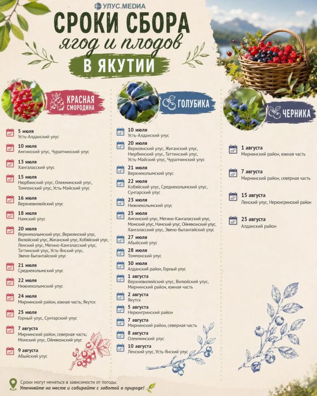 В Якутии начинается сезон сбора ягод и плодов в 2026 году В Якутии начинается сезон сбора ягод и плодов в 2026 году