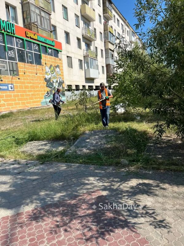 #пишут Когда прекратятся эти бессмысленные покосы травы? Трава абсорбирует пыль и грязь с улиц, освежает воздух и охлаждает почву, в то время как асфальт и голая земля очень сильно нагреваются особенно в такую жару! Плюс в... #пишут Когда прекратятся эти бессмысленные покосы травы? Трава абсорбирует пыль и грязь с улиц, освежает воздух и охлаждает почву, в то время как асфальт и голая земля очень сильно нагреваются особенно в такую жару! Плюс в...