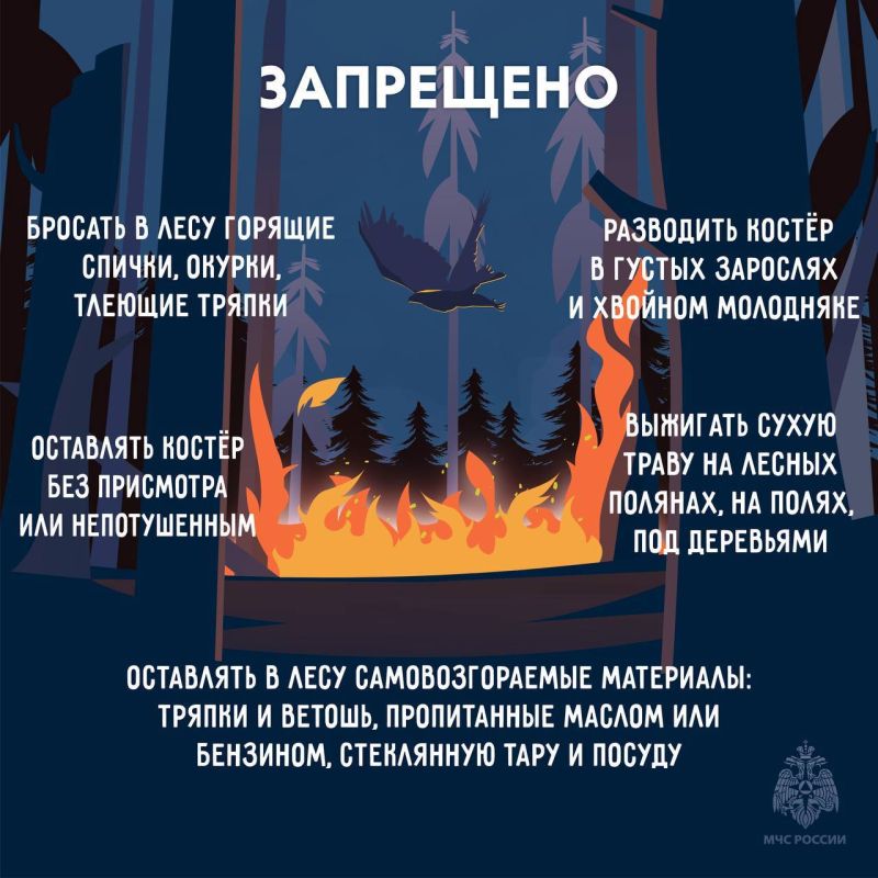 Чрезвычайно высокий (5-й) класс пожарной опасности ожидается в пяти районах: Чрезвычайно высокий (5-й) класс пожарной опасности ожидается в пяти районах: