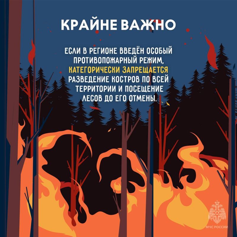 Чрезвычайно высокий (5-й) класс пожарной опасности ожидается в пяти районах: Чрезвычайно высокий (5-й) класс пожарной опасности ожидается в пяти районах: