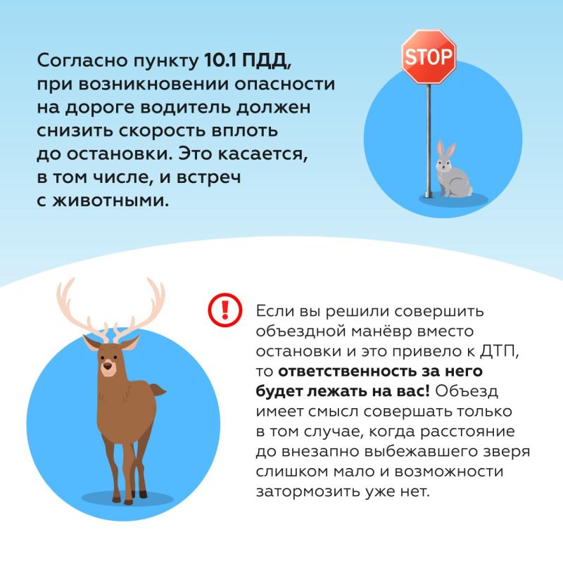Советы водителю при встрече с дикими животными на дорогах Советы водителю при встрече с дикими животными на дорогах