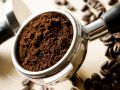Кофейная гуща в саду: полезно или вредно для ваших растений?