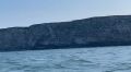 Якутские мореплаватели засняли «птичий базар» на Чукотке