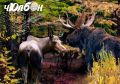 2026 сылга гс клнэ ааааччы кутун туппут «Чолбон» сурунаал трттэммитэ сылын туолар