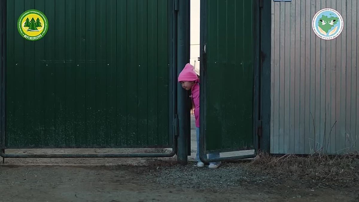Сохранять леса и защищать их от пожаров помогает национальный проект «Экологическое благополучие»