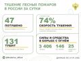 За прошедшие сутки в 11 регионах России потушили 47 лесных пожаров