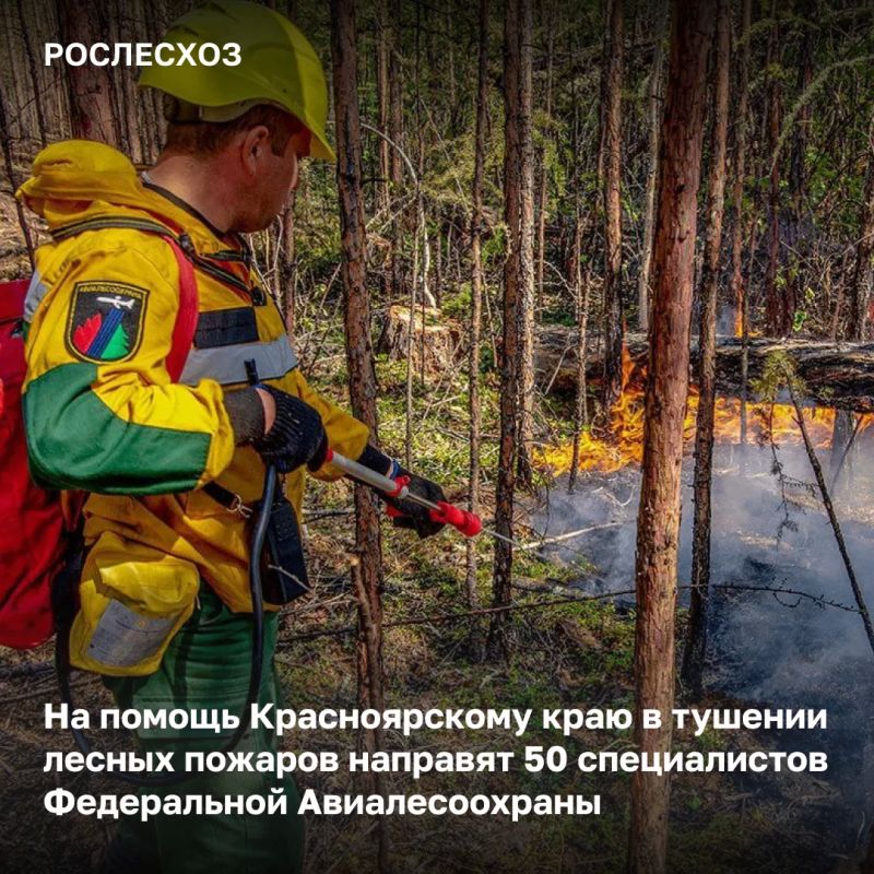 В рамках межрегионального маневрирования в Красноярском крае уже задействовано свыше 800 специалистов ФБУ «Авиалесоохрана» и региональных лесопожарных формирований