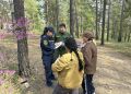 В Минэкологии Якутии напомнили о штрафах за нарушение правил пожарной безопасности в лесах