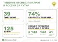 За прошедшие сутки в 12 регионах России потушили 39 лесных пожаров