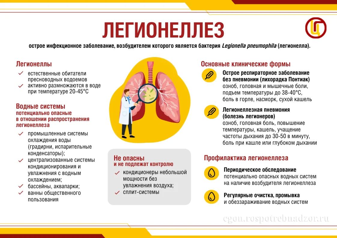 В связи с жаркой летней погодой этим летом и массовым использованием кондиционеров, Управление Роспотребнадзора по Республике Саха (Якутия) разъясняет о том, существует ли риск заражения легионеллезом (известным как «болезнь...