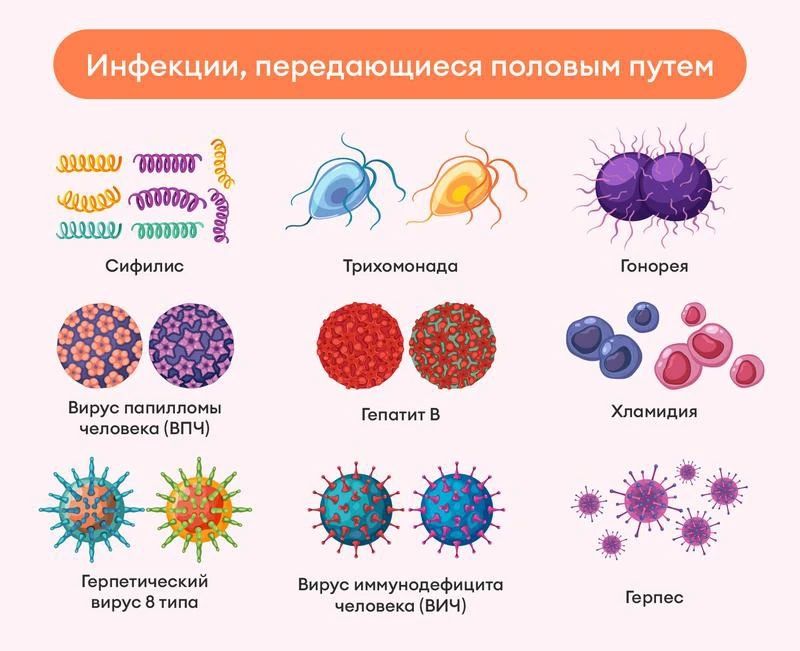 Лучшая защита от инфекций — это профилактика