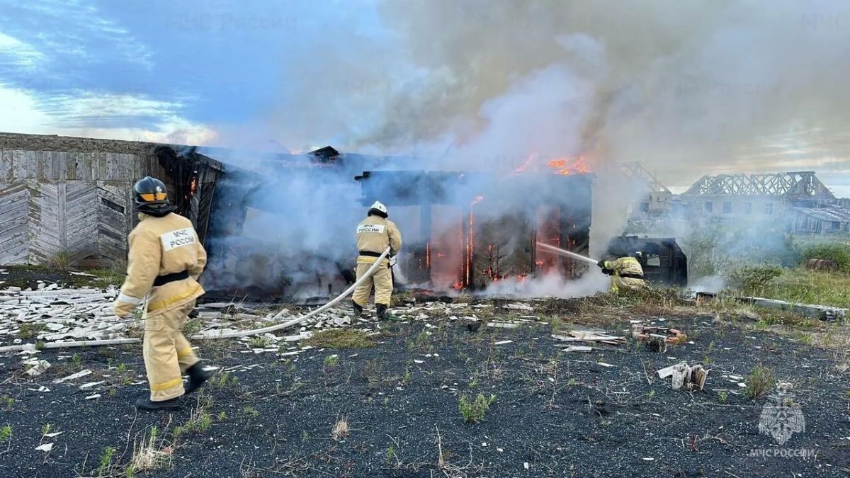 При пожаре в Беркаките погибли 30 куриц и четыре свиньи