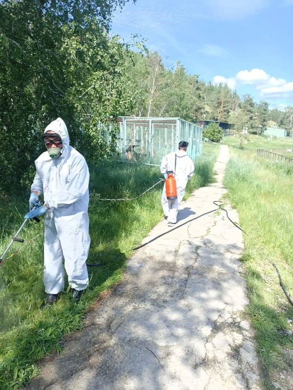 Ведущий ветеринарный врач отдела ветеринарных мероприятий Савва Накатов, имеющий удостоверение дезинфектора, провел дезинсекцию в зоопарке «Орто-Дойду» им. В. Г. Алексеева. Ведущий ветеринарный врач отдела ветеринарных мероприятий Савва Накатов, имеющий удостоверение дезинфектора, провел дезинсекцию в зоопарке «Орто-Дойду» им. В. Г. Алексеева.