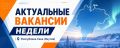 Актуальные вакансии недели в регионе
