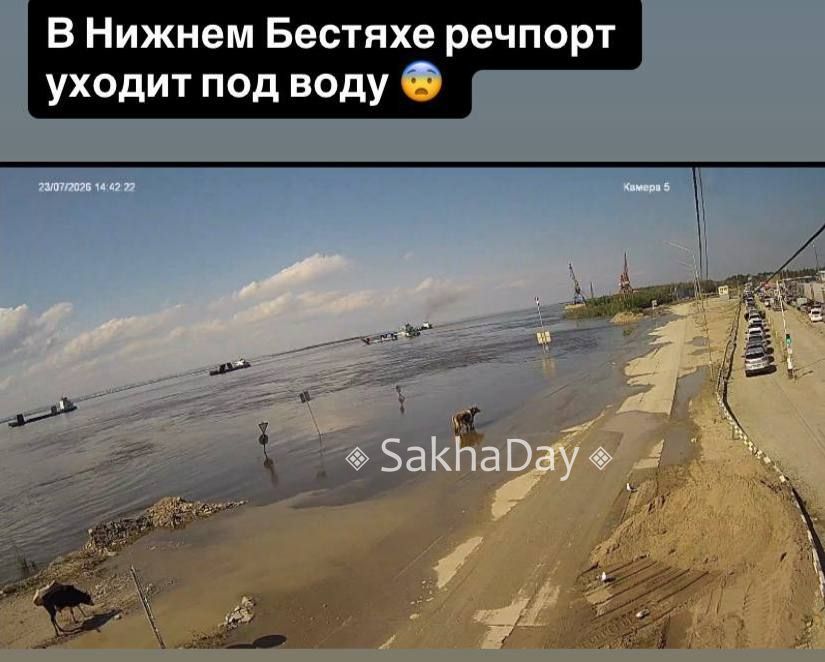 Судя по фото с камер, в Нижнем Бестяхе начинает затапливать, и в том числе накопительную площадку Судя по фото с камер, в Нижнем Бестяхе начинает затапливать, и в том числе накопительную площадку