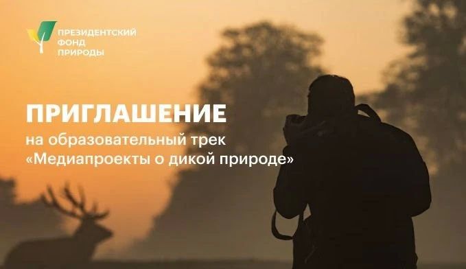 Ваш медиапроект может стать вкладом в сохранение дикой природы