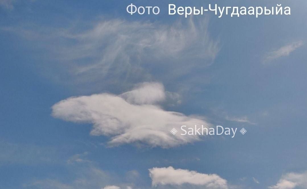 Облачный орёл над Якутском сообщает наша постоянная читательница и автор