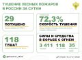 За прошедшие сутки в 11 регионах России потушили 29 лесных пожаров