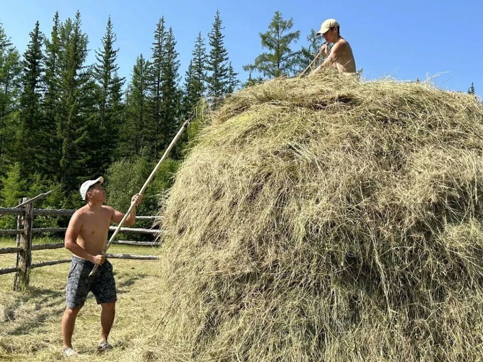 Отчуттарга атырдьах ыйыгар сэлээркэни кытта бэнсиин биэриэхтэрэ